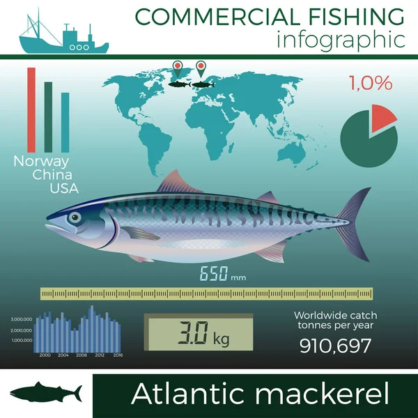 Infografía de pesca comercial . — Vector de stock