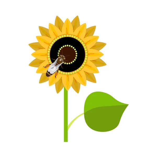 Sonnenblume mit Biene — Stockvektor