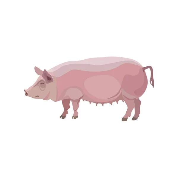 Vector de cerdo rosa — Vector de stock