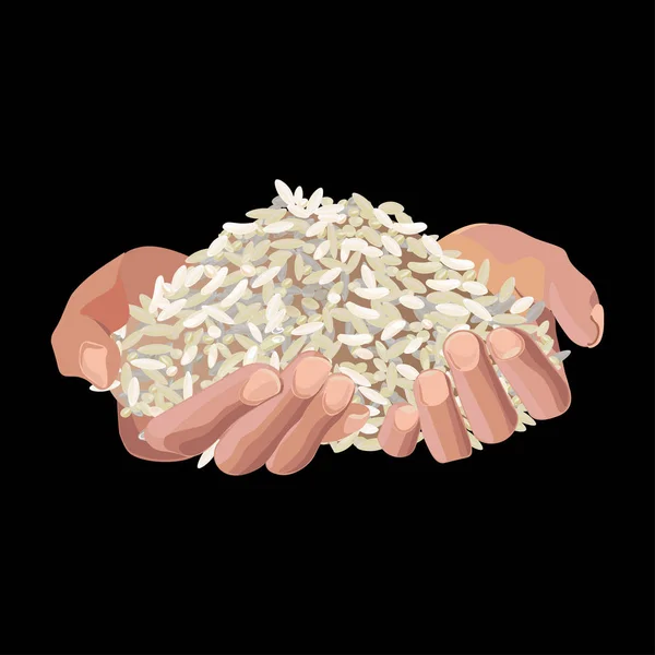 Manos sosteniendo arroz — Vector de stock