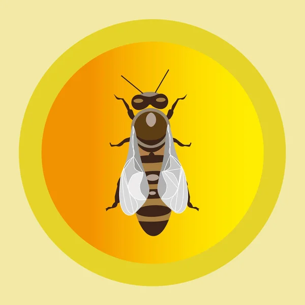 Vector ilustración de la abeja — Vector de stock