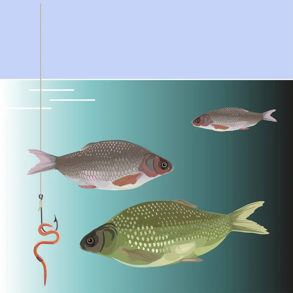 Poisson regardant appât — Image vectorielle