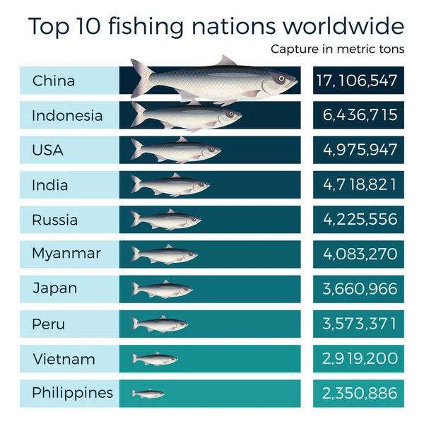 Topp 10 fiskenationer världen över. — Stock vektor
