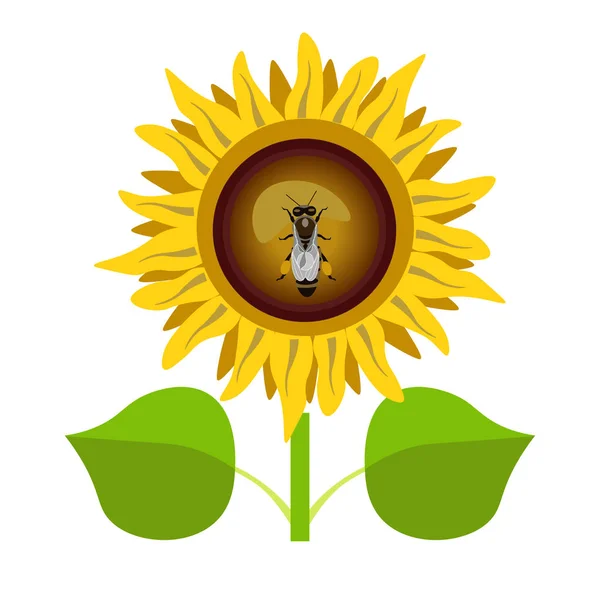Ikon tanaman bunga matahari - Stok Vektor