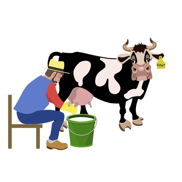 Farmer milking a cow — Stock Vector