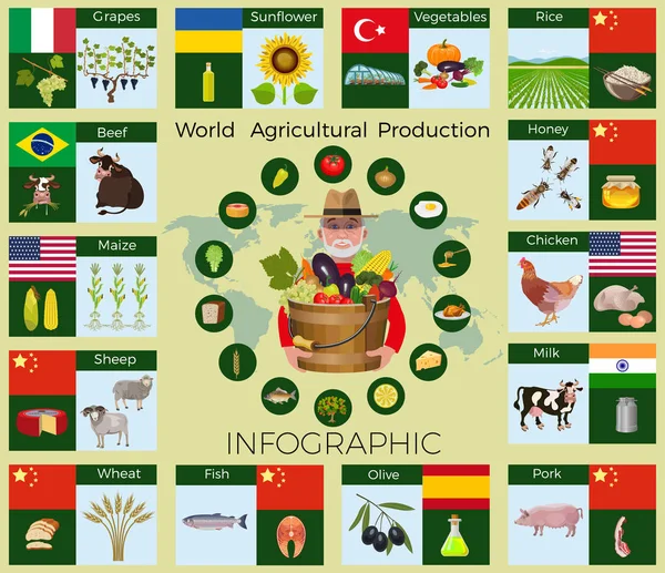 Produção agrícola mundial . —  Vetores de Stock