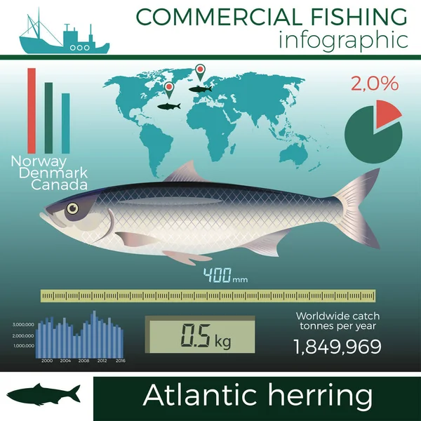 Η εμπορική αλιεία infographic. — Διανυσματικό Αρχείο
