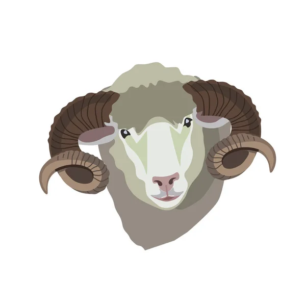 Ram cabeza vector — Vector de stock