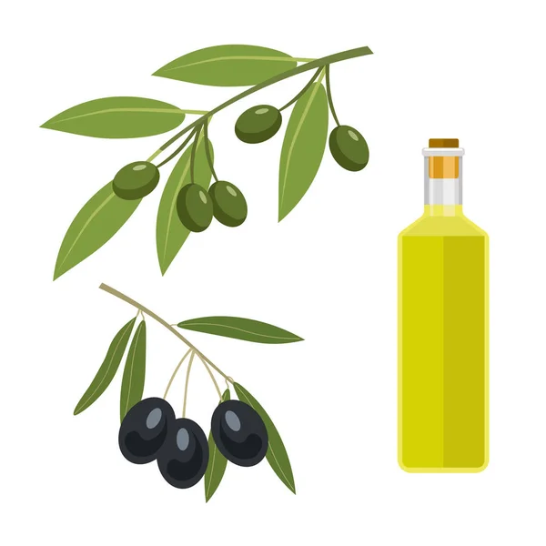 Olives et bouteille d'huile d'olive . — Image vectorielle