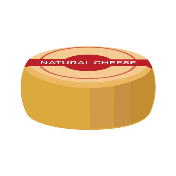 Bütün tekerlekli peynir — Stok Vektör
