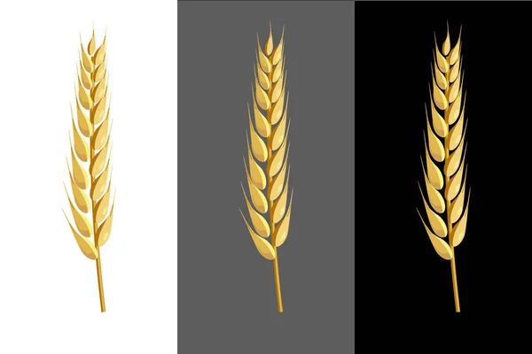 Vetor auricular de trigo —  Vetores de Stock