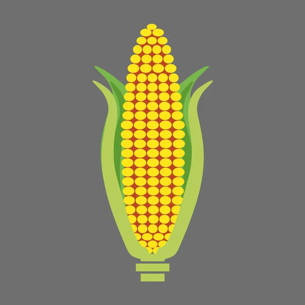 Corn on the cob — Stock Vector