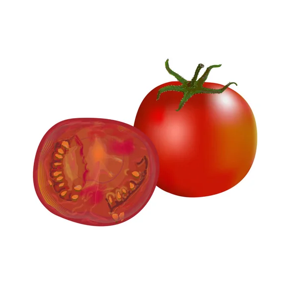 Tomat dan setengah tomat - Stok Vektor