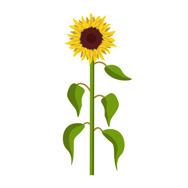 Sonnenblumenpflanzen-Ikone — Stockvektor