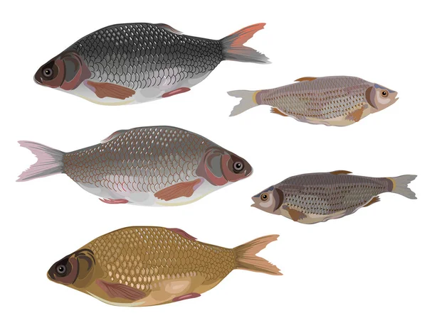 Набор векторных рыб — стоковый вектор