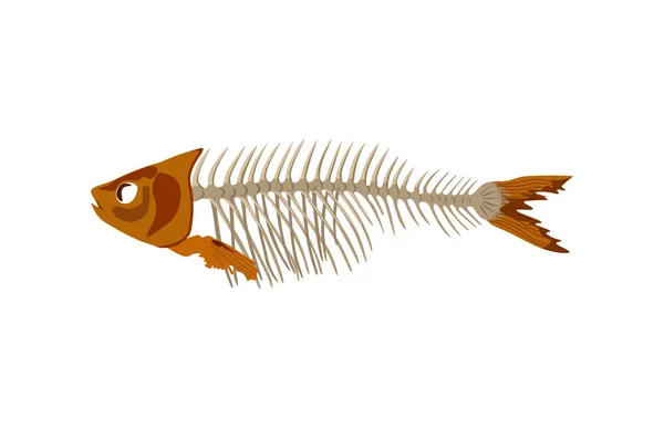 Vecteur osseux de poisson — Image vectorielle