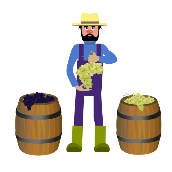 Agricultor com uvas — Vetor de Stock