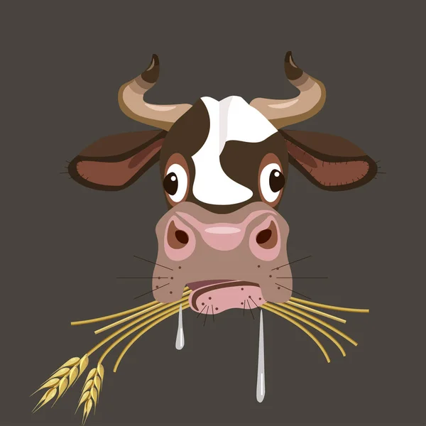 Cow's head vector — Stock Vector