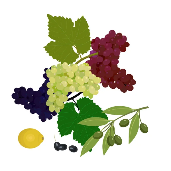 Виноград, оливки и лимон — стоковый вектор