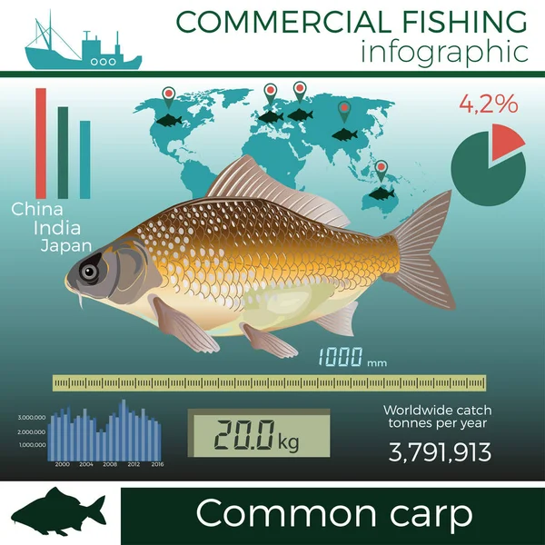 Infográfico de pesca comercial . — Vetor de Stock