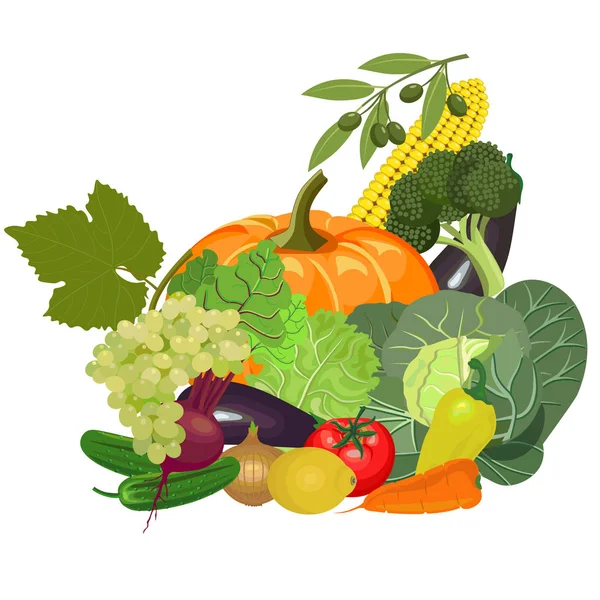 Vector fresh vegetables — Stock Vector