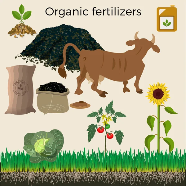 Agriculture and farming. — Stock Illustration Agriculture and farming. Royalty Free Stock Vectors