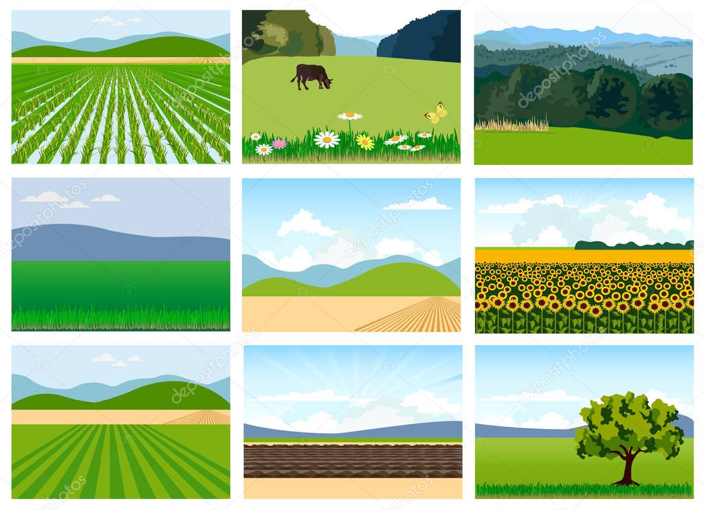 Set of agricultural fields.