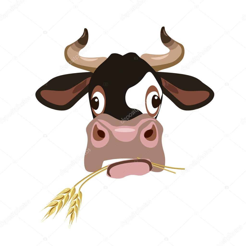Cow's head vector