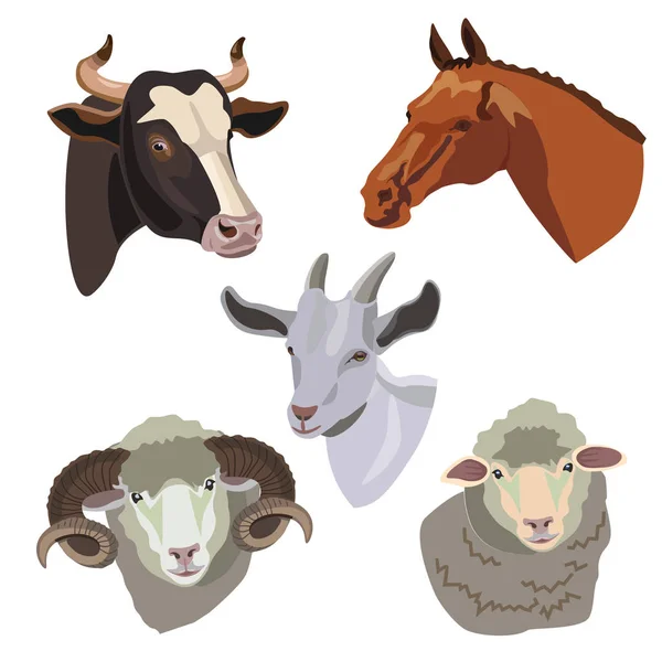 Heads domestic animals — Stock Vector