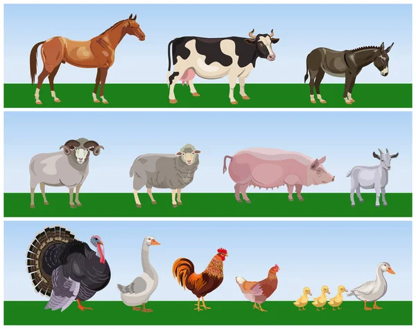 农场动物矢量 — 图库矢量图片