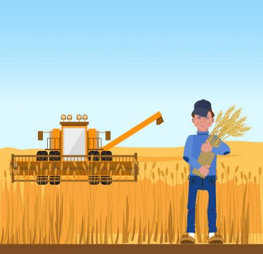 Buğday hasat çiftçi