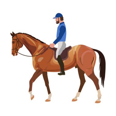 Horseback binici vektör