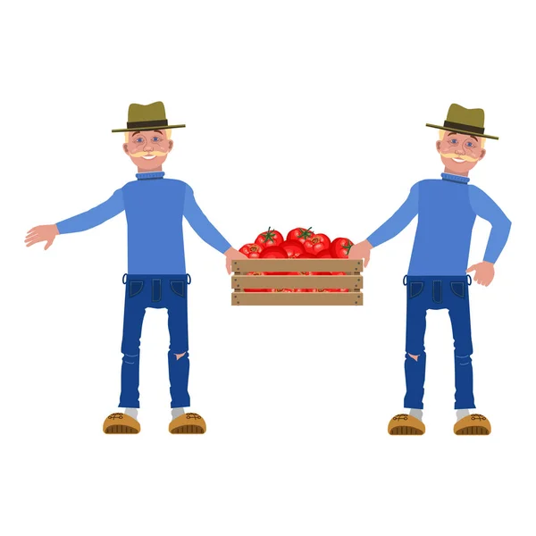 Agricultores que transportam caixa de tomate — Vetor de Stock