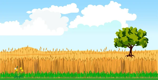 Rural landscape with wheat field and tree. — Stock Vector