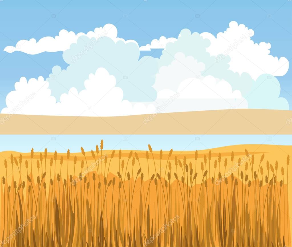 Rural landscape with wheat field