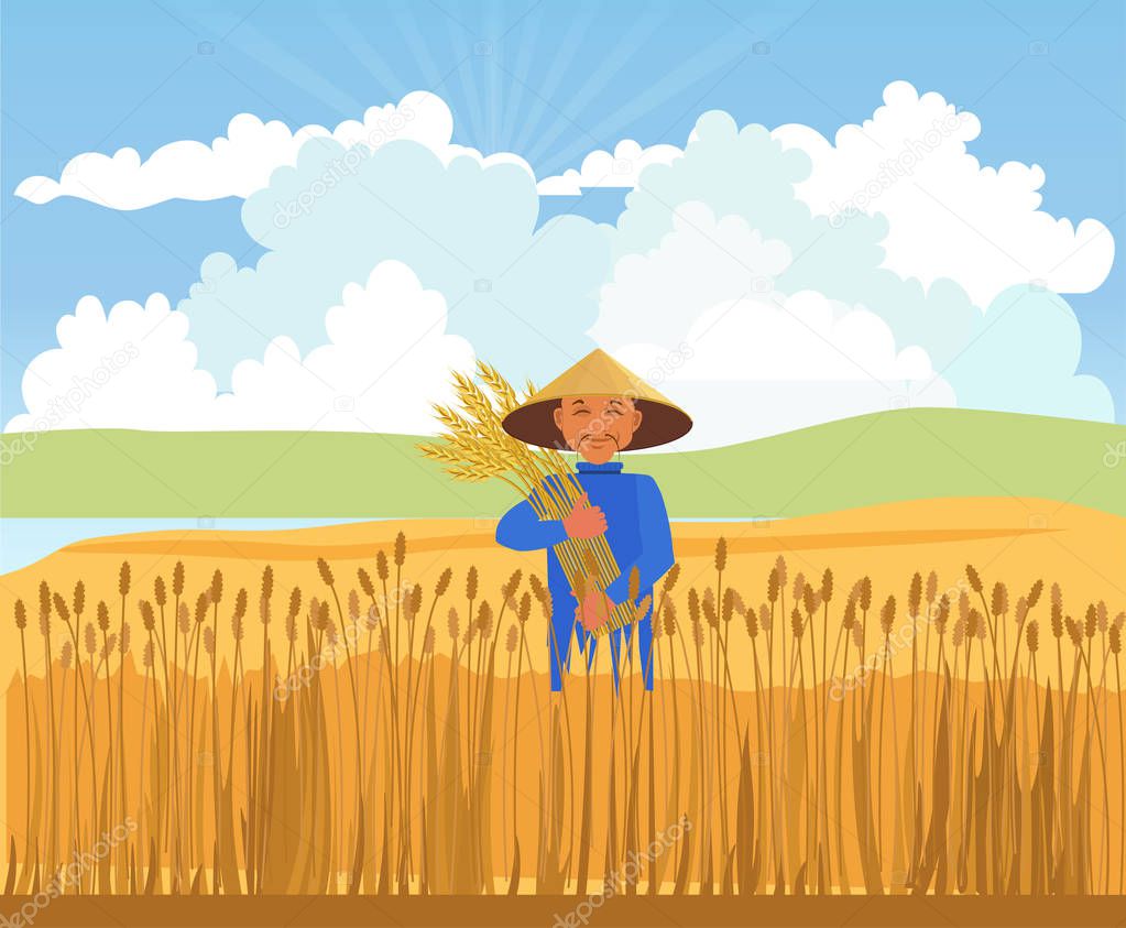 Farmer harvesting wheat