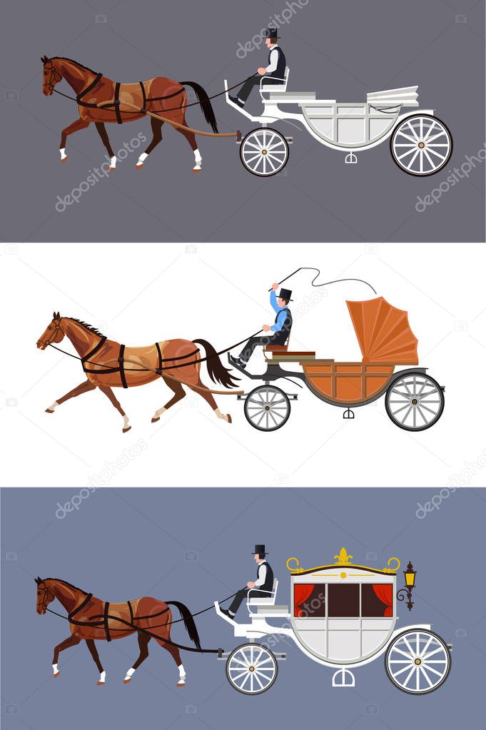 Horse carriage vector