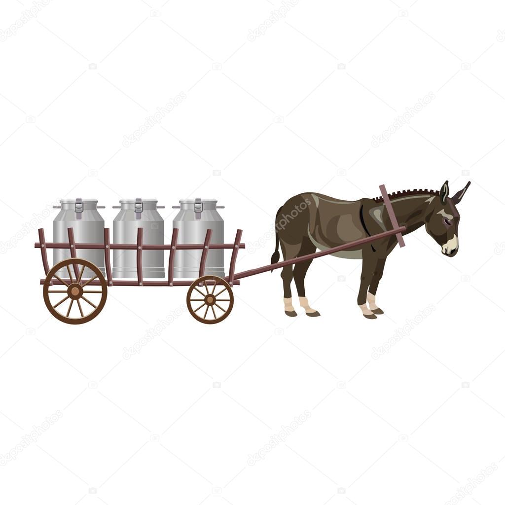Donkey cart with milk cans