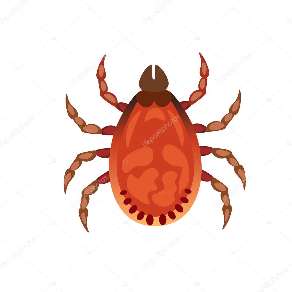 Vector illustration of tick