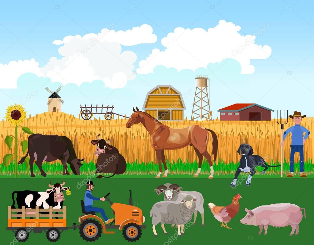 Farm animals on farm background