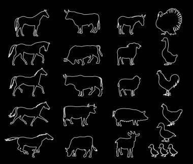 Çiftlik hayvanları kutsal kişilerin resmi