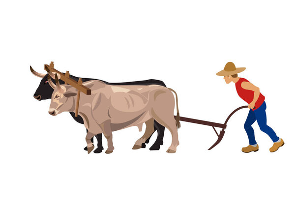 Farmer plowing field with oxen