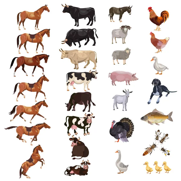 çiftlik hayvanları vektör