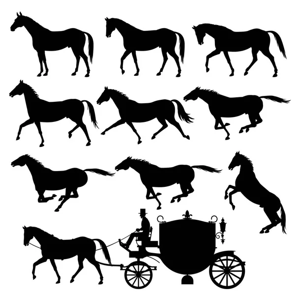 Vector silhouettes of horses — Stock Vector
