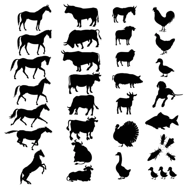 Animales de granja siluetas — Vector de stock