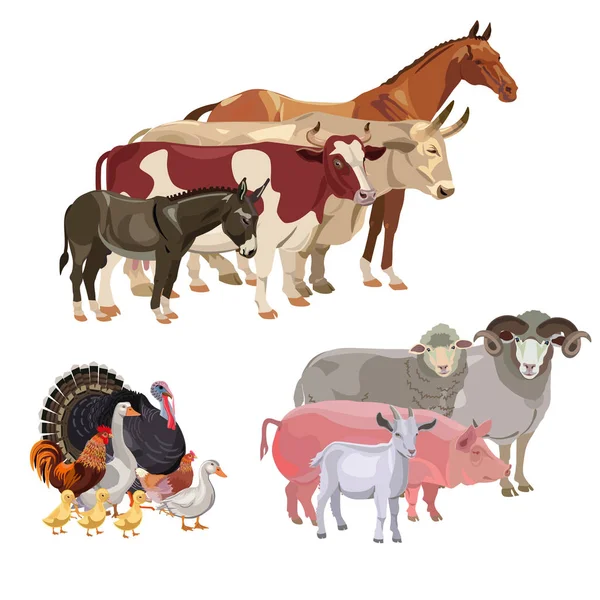 Landbouwhuisdieren vector — Stockvector