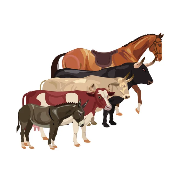 Animales de granja en fila — Archivo Imágenes Vectoriales