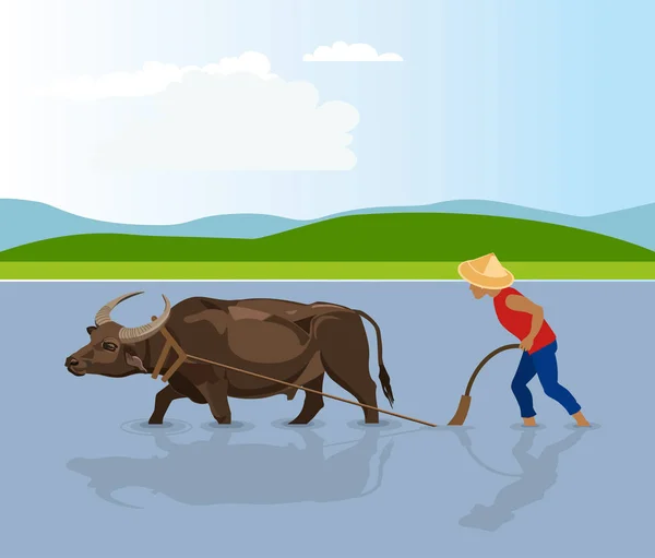 Agricultor y búfalo de agua — Vector de stock