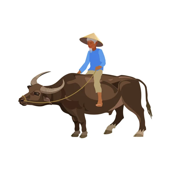 Чоловік їде на воді буйвола — стоковий вектор