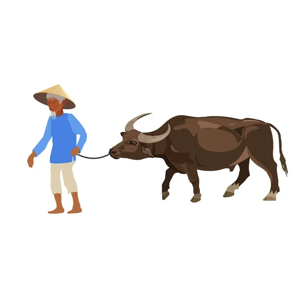 Landwirt führt Wasserbüffel. — Stockvektor